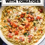 Orzo with tomatoes pin.