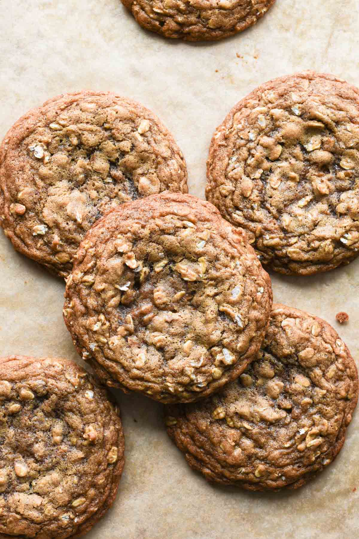 Brown butter gingerbread oatmeal cookies.